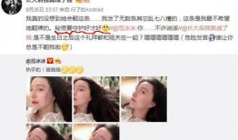 粉丝爆料范冰冰视频播放,粉丝热议幕后真相